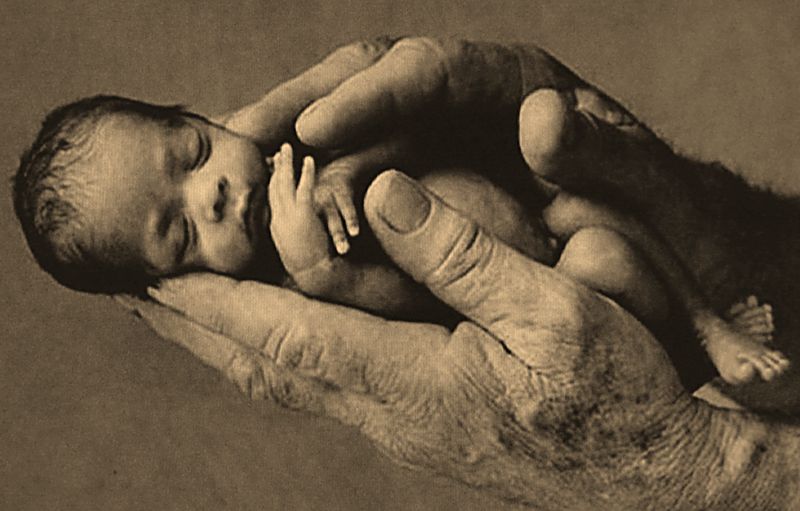 Infant in hand